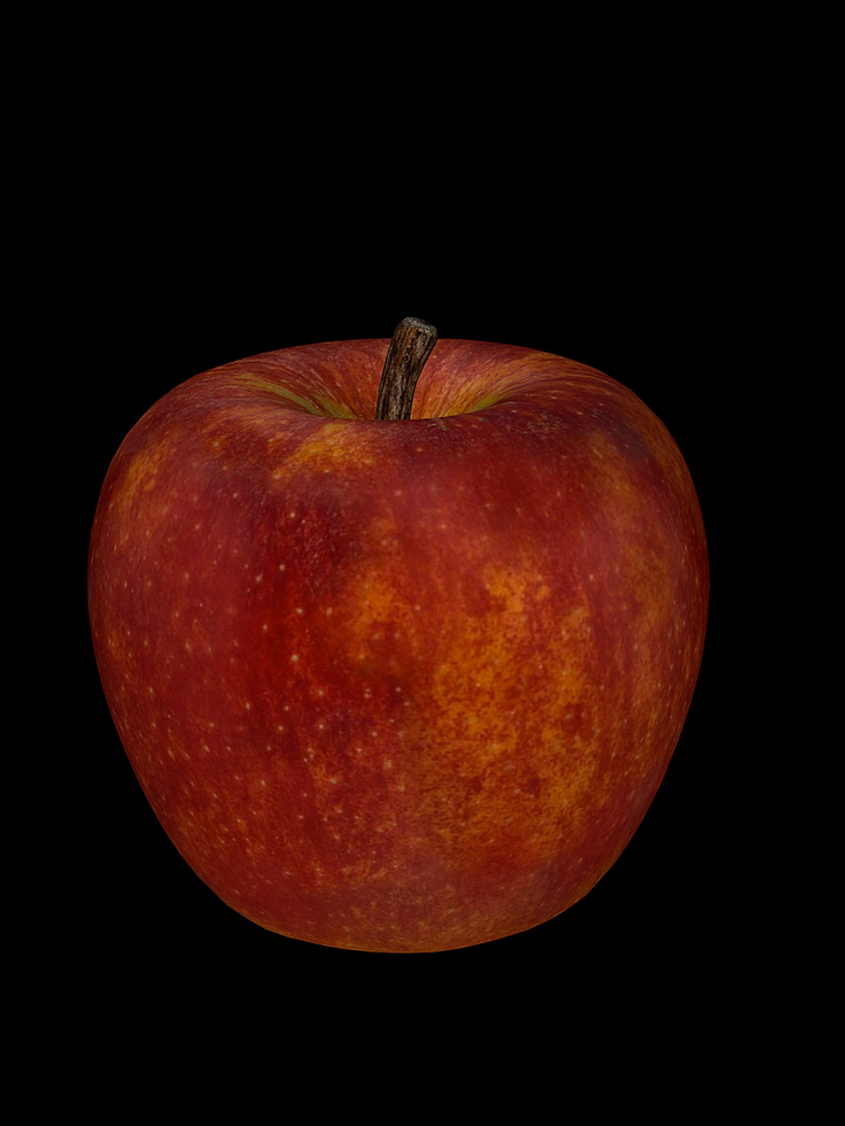 The Signature